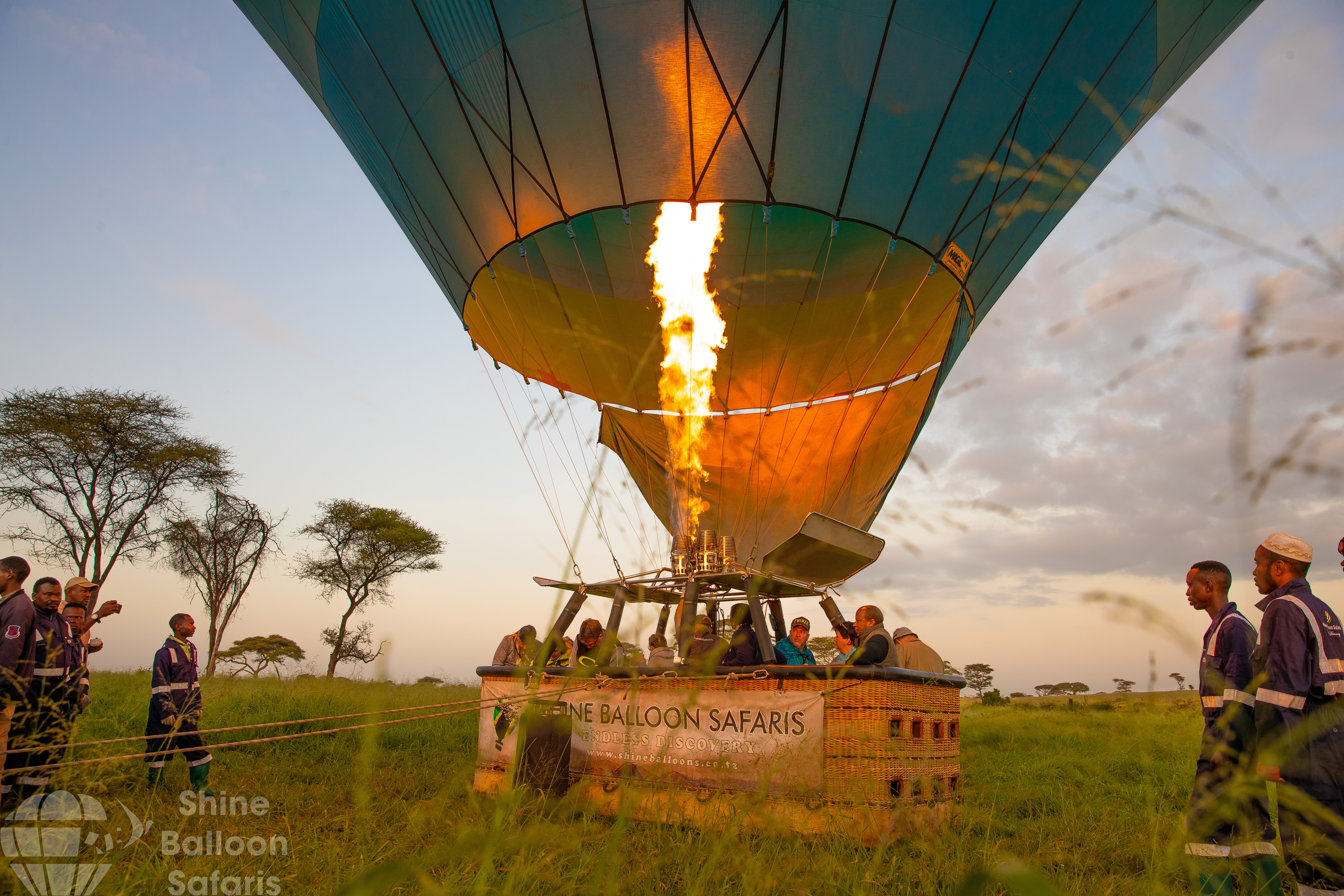 Safari Experience
